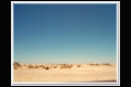 Impressionen 7 Joshua Tree (2).jpg